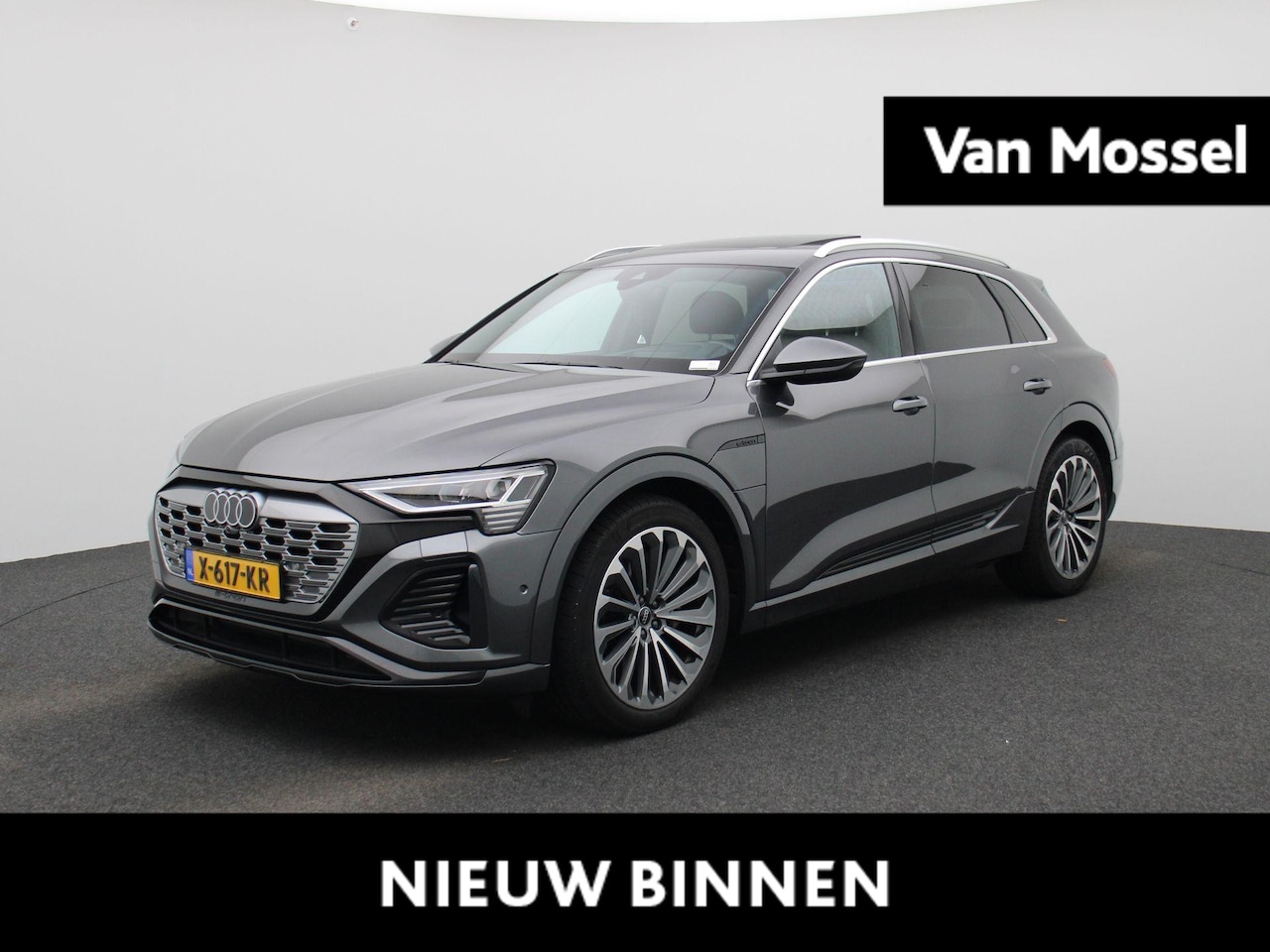 Audi Q8 e-tron - 55 quattro S Edition 115kwh 55 quattro S Edition 115 kWh - AutoWereld.nl