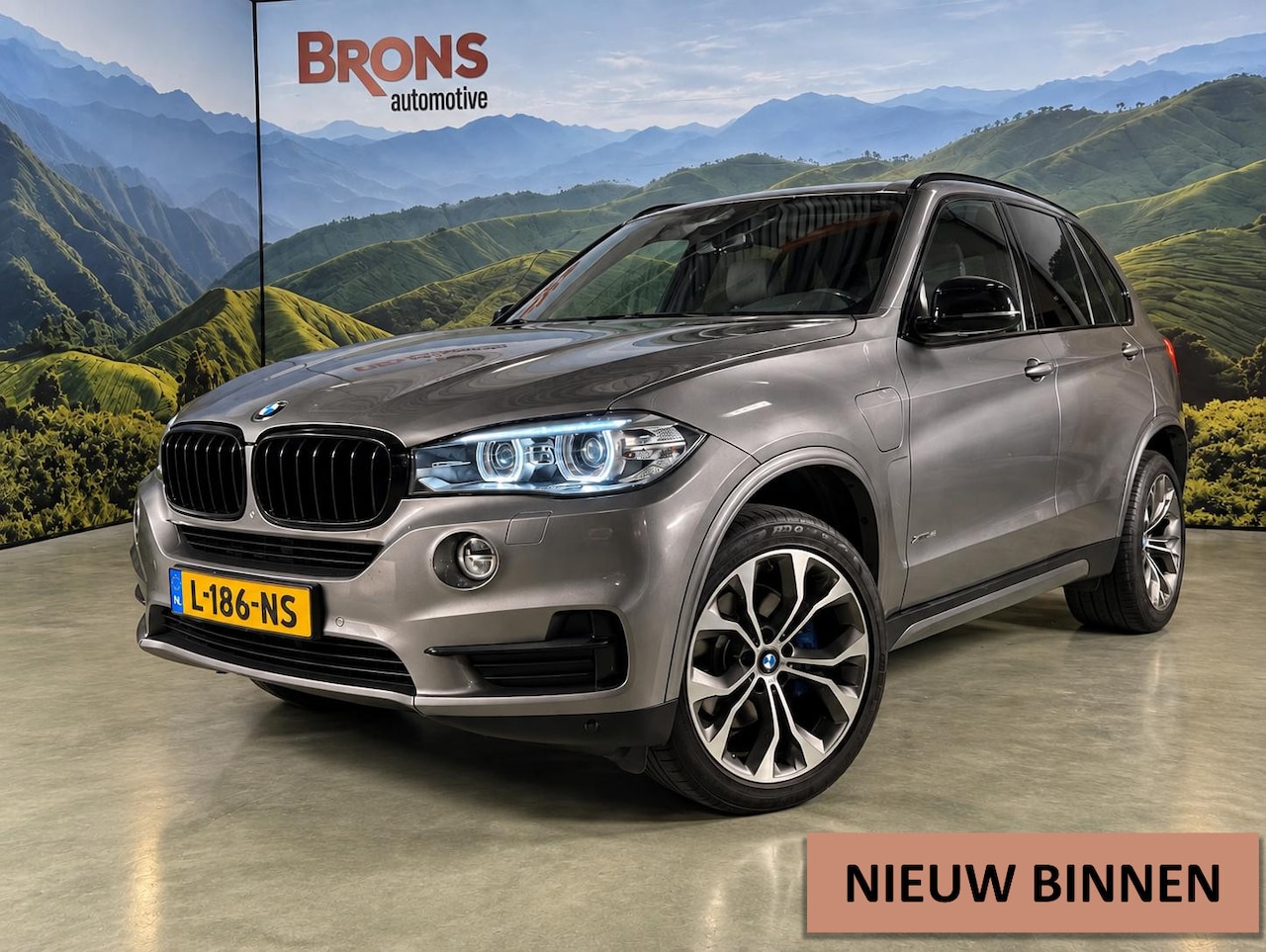 BMW X5 - xDrive iPerformance l Pano l SOH 95% l trekhaak l 20 inc - AutoWereld.nl