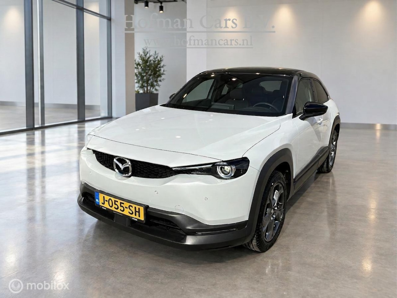 Mazda MX-30 - e-SkyActiv 145 First Edition 36 kWh | SOH 92,5% | HUD | Camera | Stoelverwarming - AutoWereld.nl