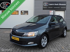 Skoda Fabia - Hatchback 1.2TSi 110pk DSG-7 AUTOMAAT JOY LM PDC