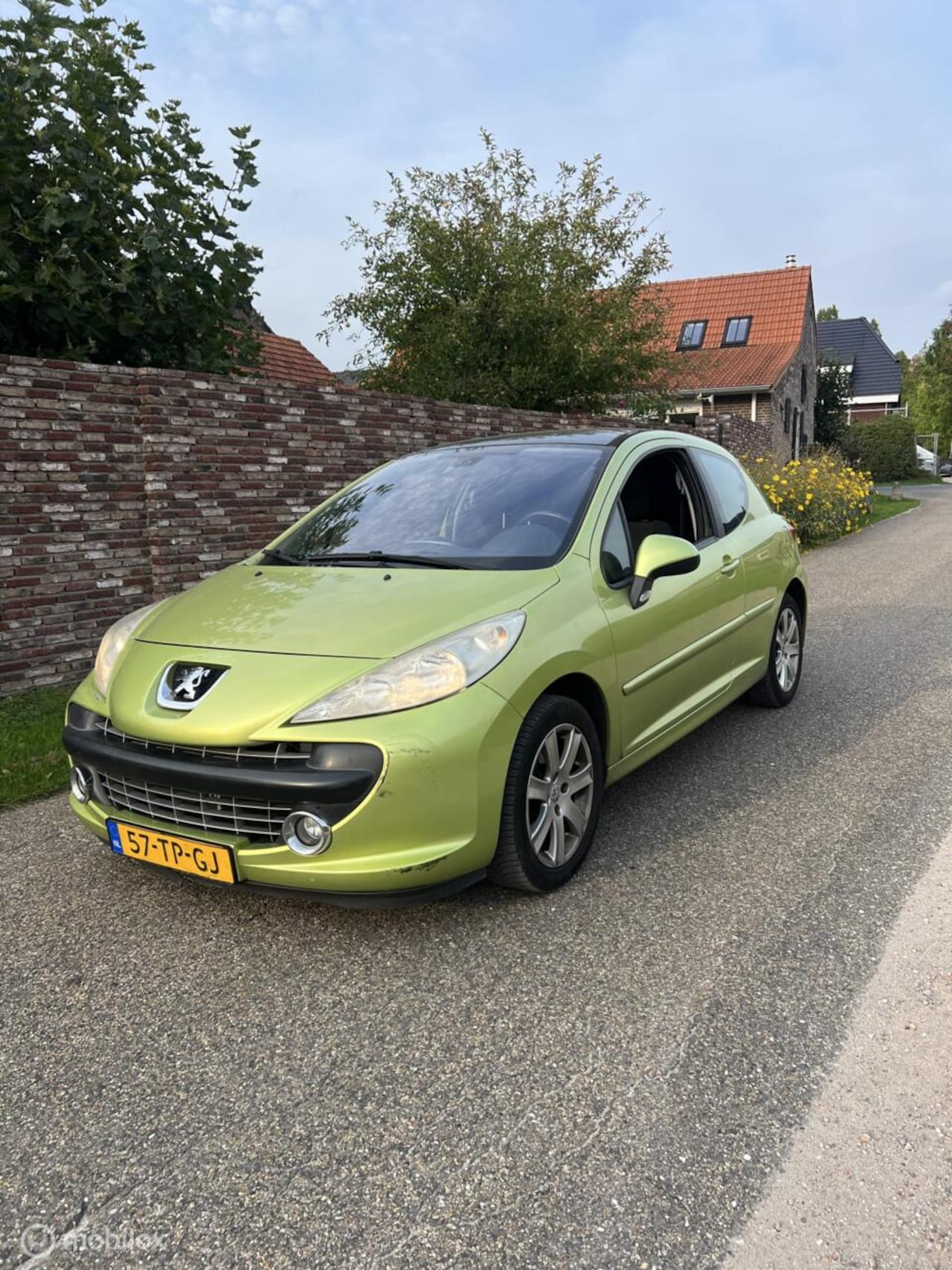 Peugeot 207 - 1.6-16V XS Pack 1.6-16V XS Pack - AutoWereld.nl