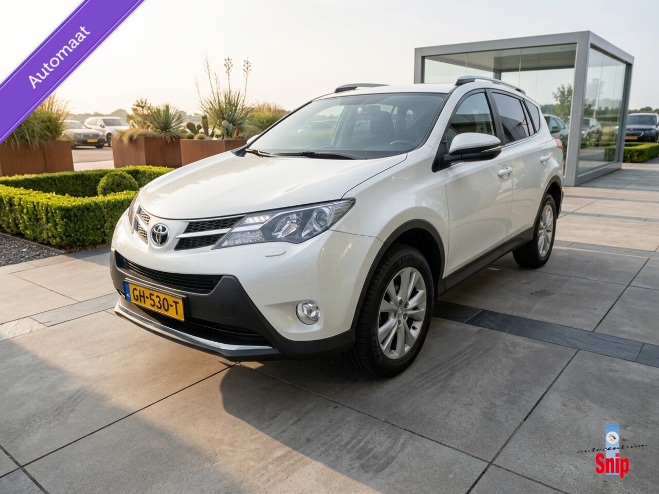 Toyota RAV4 - 2.0 Executive Business 4WD 2.0 Executive Business 4WD - AutoWereld.nl