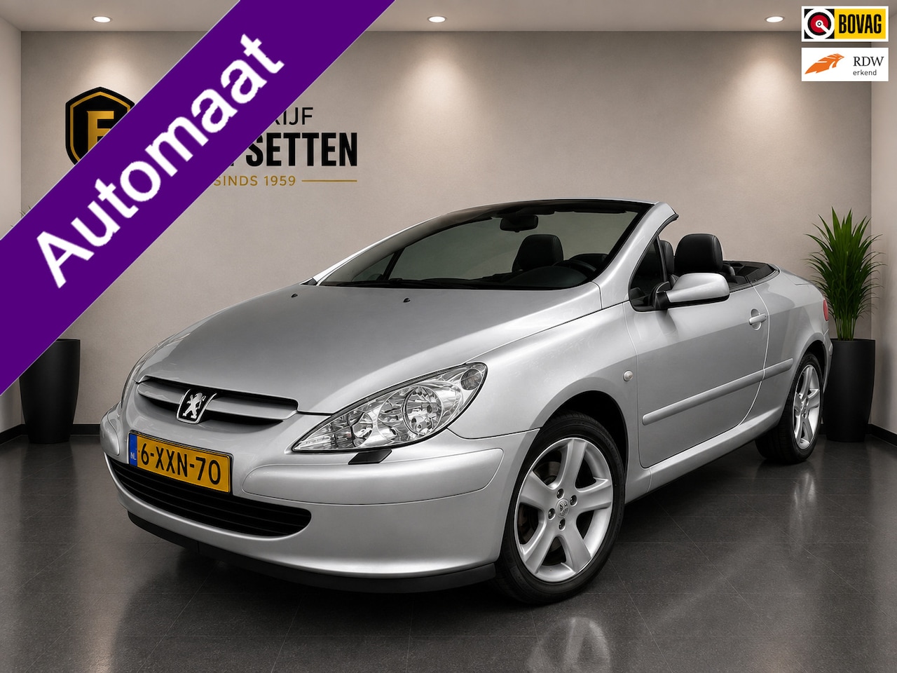 Peugeot 307 CC - 2.0-16V Airco/Cruise/PDC - AutoWereld.nl