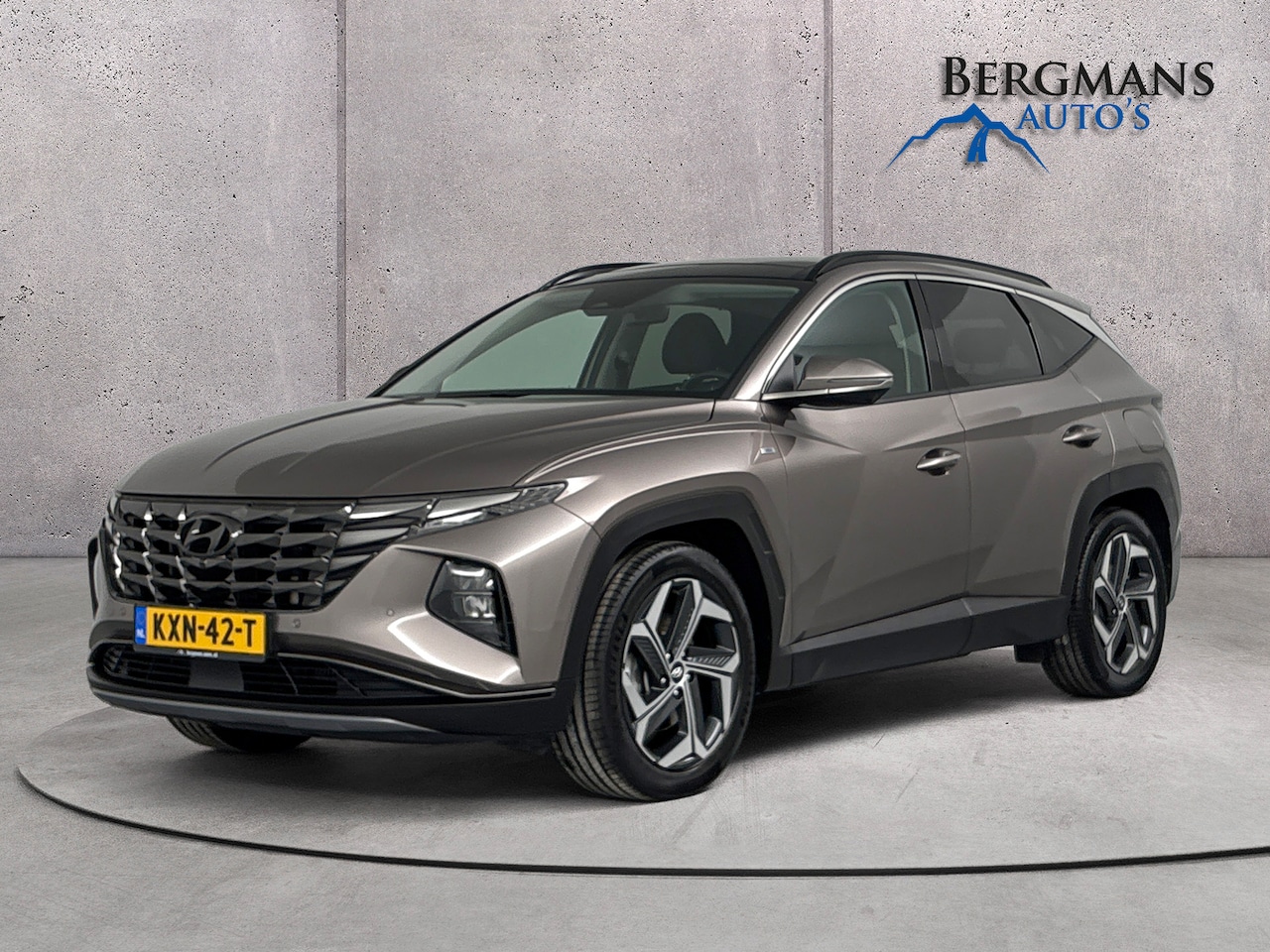 Hyundai Tucson - - 1.6 T-GDI MHEV Premium Sky // STOELVENTILATIE // SCHUIFDAK // RONDOMCAMERA // - AutoWereld.nl