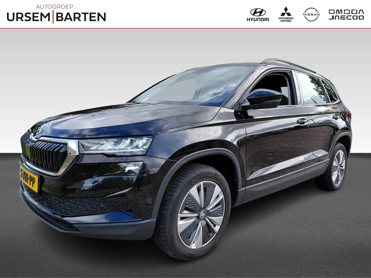 Skoda Karoq - 1.5 TSI ACT Business Edition Plus 1.5 TSI ACT Business Edition Plus - AutoWereld.nl