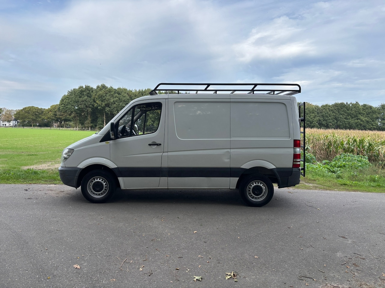 Mercedes-Benz Sprinter - 210 2.2 CDI 325 Functional 210 2.2 CDI 325 Functional - AutoWereld.nl
