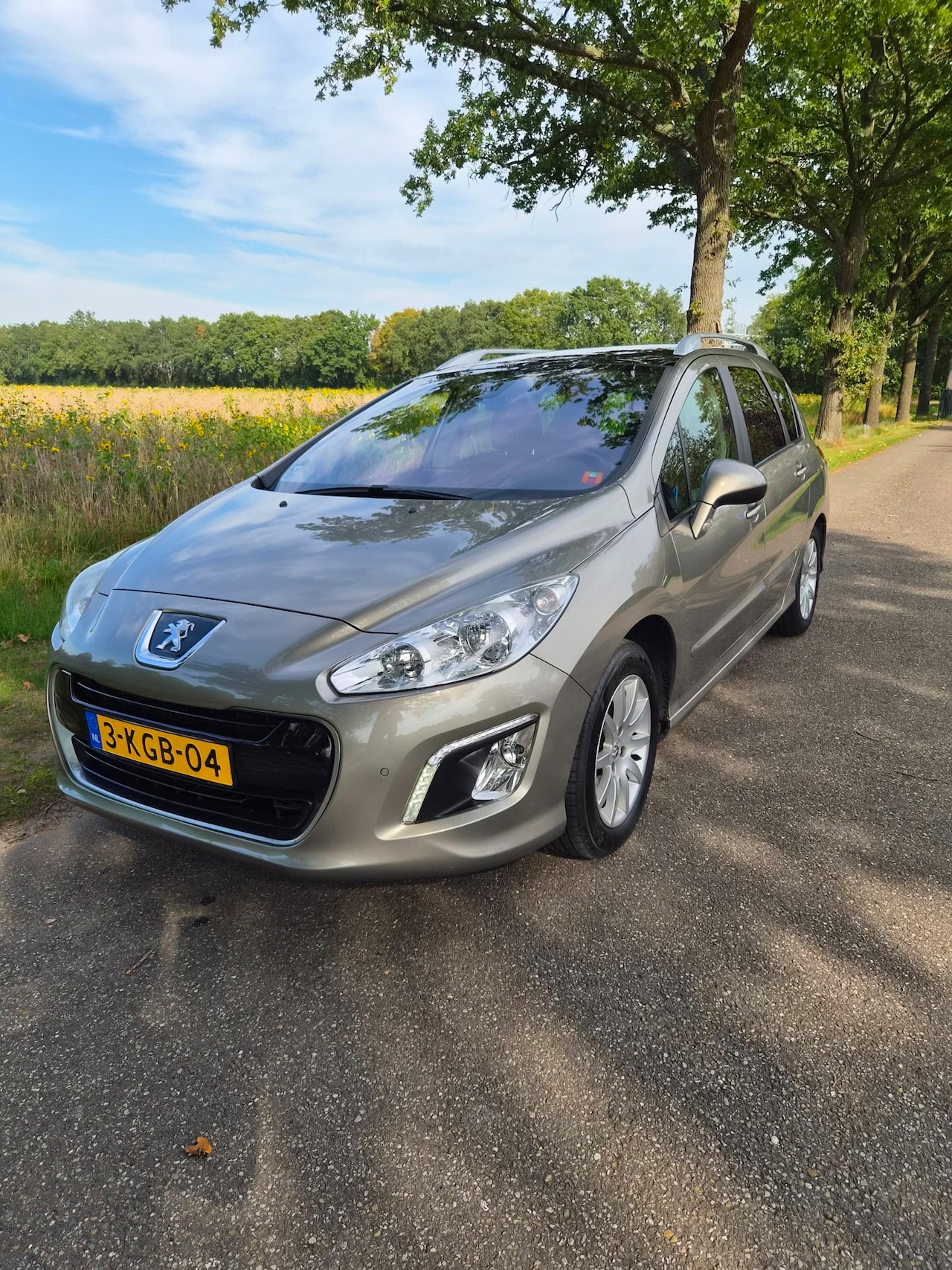 Peugeot 308 SW - 1.6 THP Allure 7p Automaat, NAP, Dealer onderhouden - AutoWereld.nl