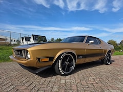 Ford Mustang - mach1