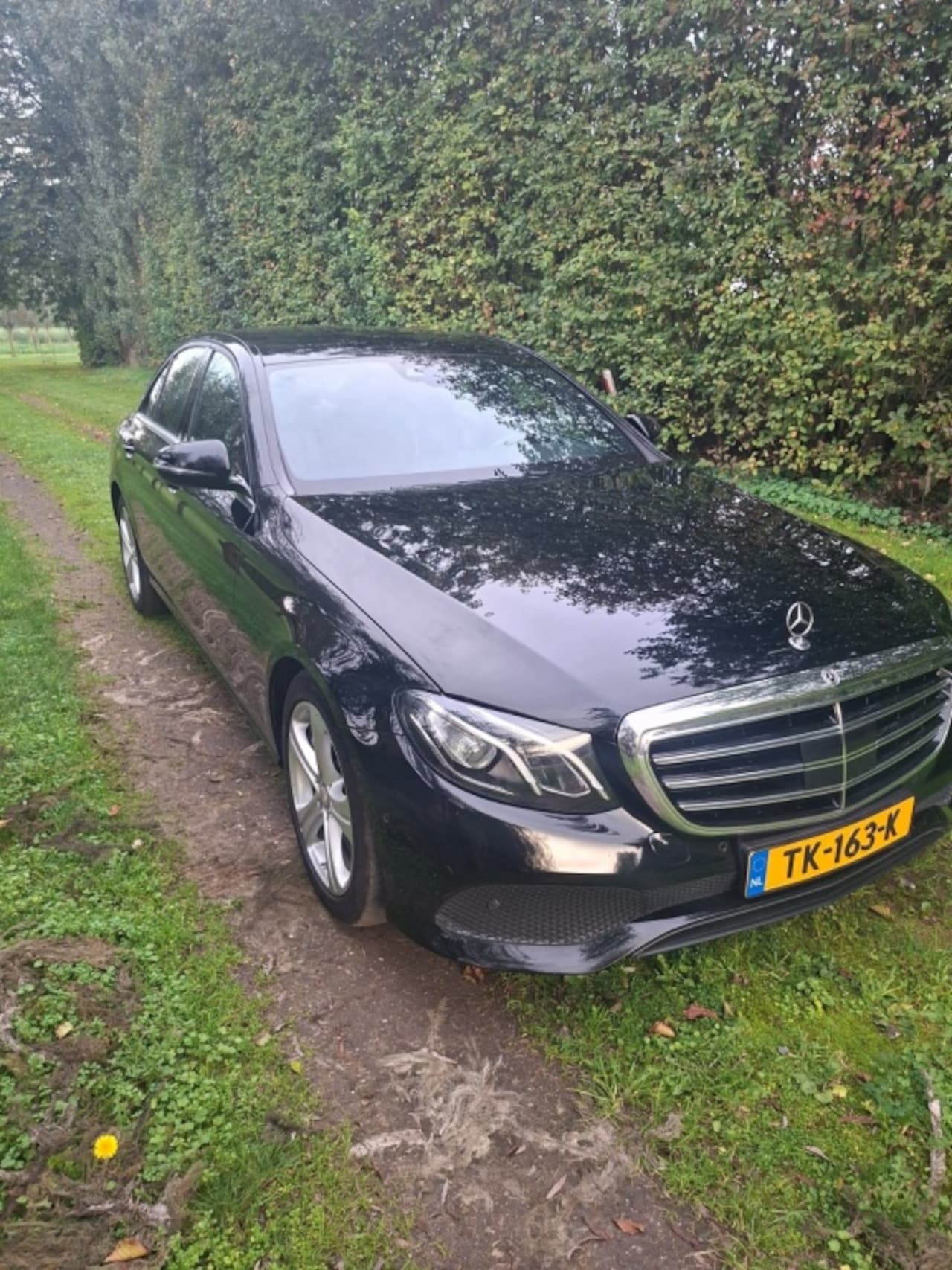 Mercedes-Benz E-klasse - 350 d Prestige 350 d Prestige - AutoWereld.nl