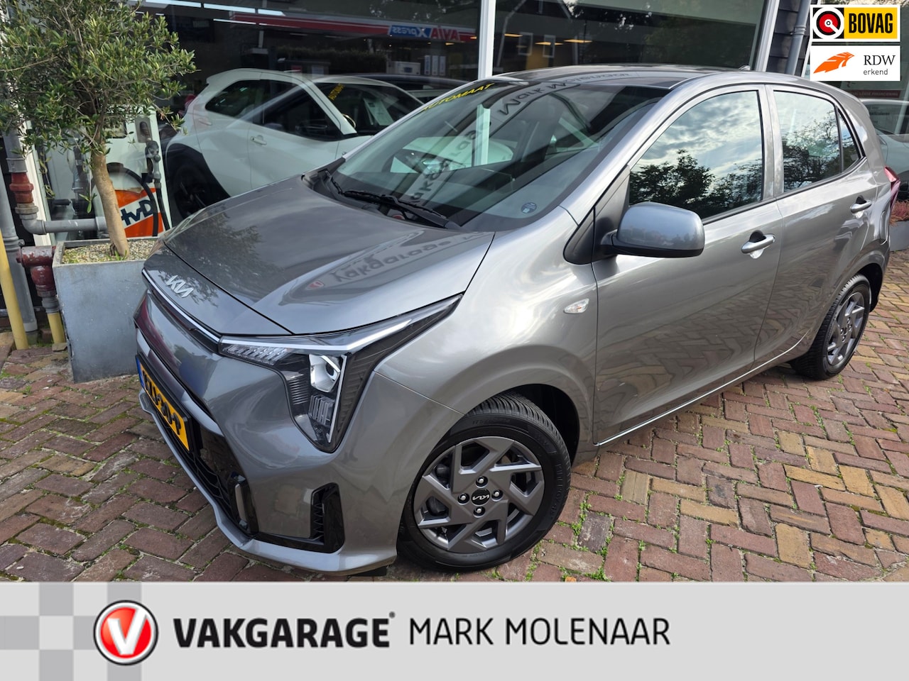 Kia Picanto - 1.0 DPI DynamicLine 1.0 DPI DynamicLine,Automaat,stoelverwarming,carplay - AutoWereld.nl