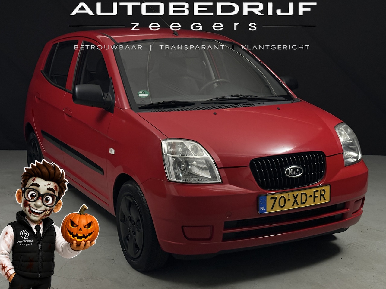 Kia Picanto - 1.0 Ladybug LX *Lage KM*NAP*Goed Onderhouden* - AutoWereld.nl