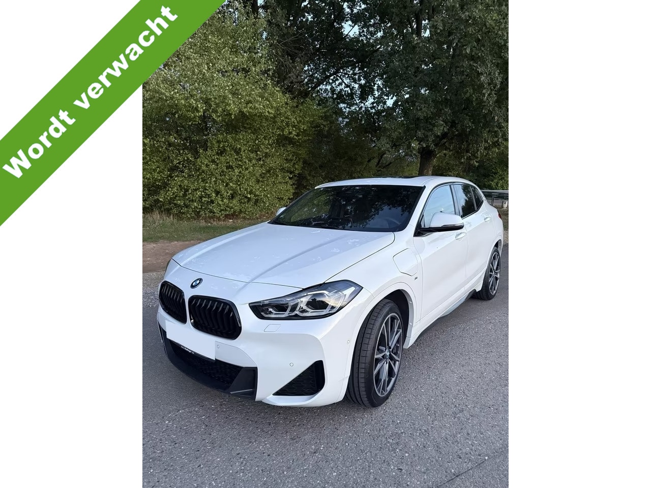 BMW X2 - xDrive25e High Executive M Sport Pano HUD Leder Navi Plus 19 Inch Stuurverwarming Driving - AutoWereld.nl