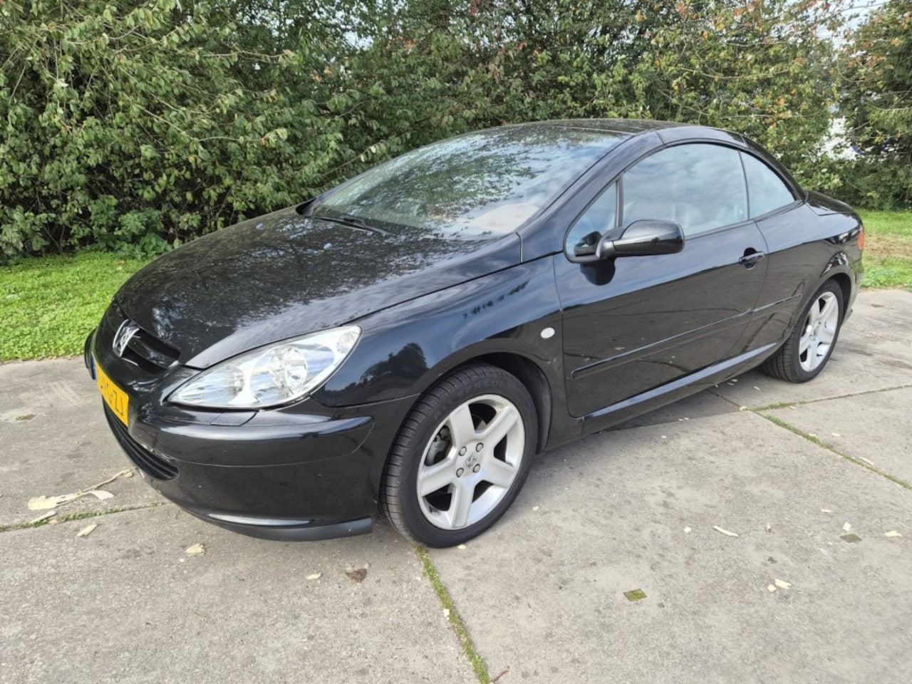 Peugeot 307 - 2.0-16V XS Pack 2.0-16V XS PACK - AutoWereld.nl