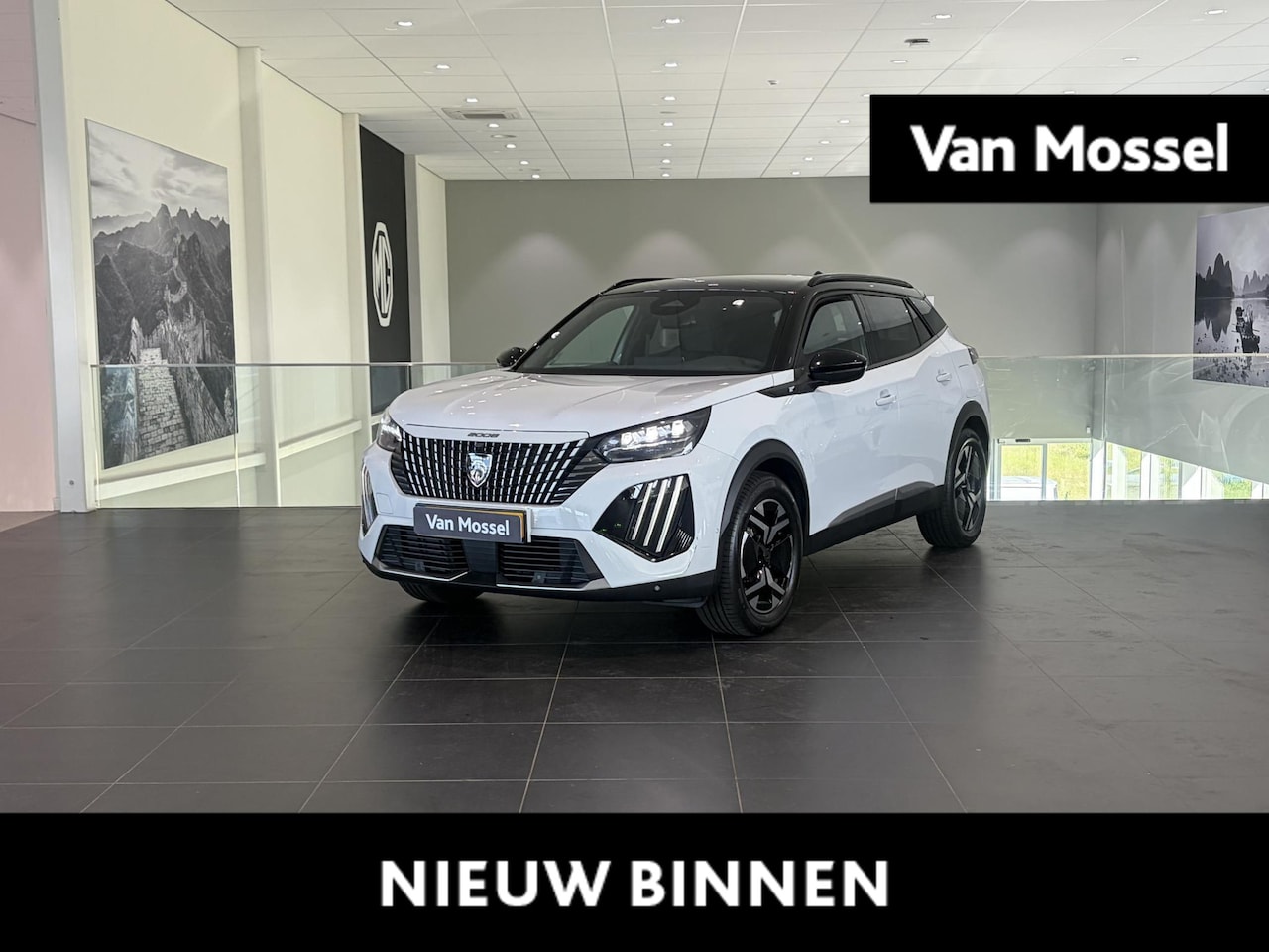 Peugeot 2008 - 1.2 Hybrid 145 GT 1.2 Hybrid 145 GT - AutoWereld.nl