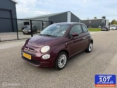 Fiat 500 - 1.2 Young Nieuwe apk / Lage km stand
