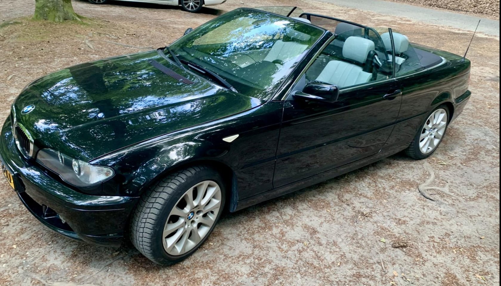 BMW 3-serie Cabrio - 318Ci Special Executive 318Ci Special Executive - AutoWereld.nl