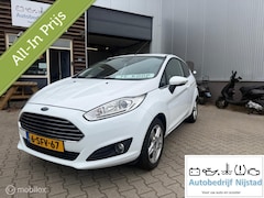 Ford Fiesta - 1.0 EcoBoost Titanium, nazomeractie