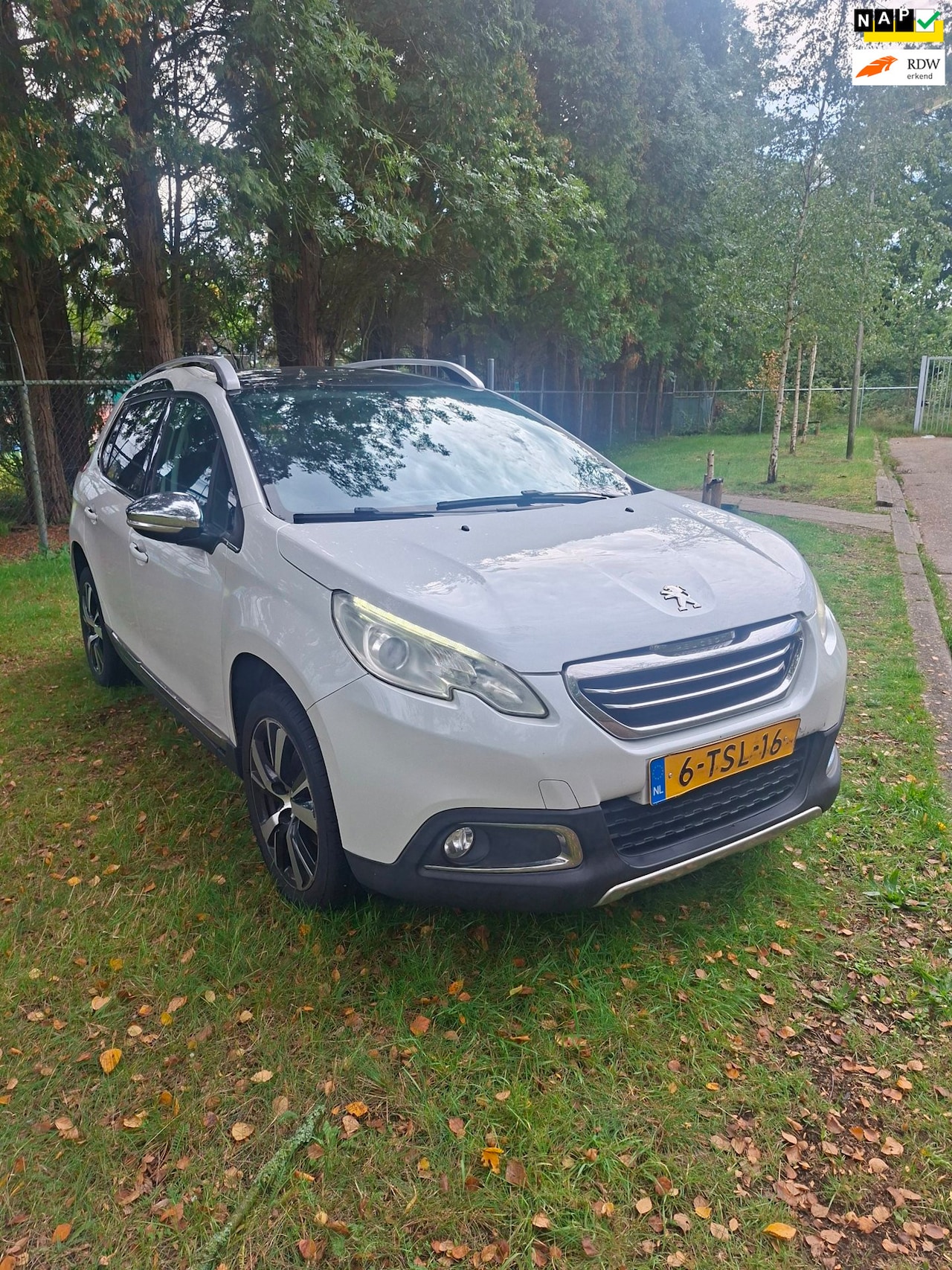 Peugeot 2008 - 1.6 VTi Féline inruil koopje - AutoWereld.nl