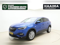 Opel Grandland X - 1.2 Turbo Business Executive | Electrische achterklep | Navigatie | Camera | Half lederen