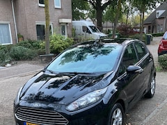 Ford Fiesta - 1.25 Stoel- en voorruitverwarming