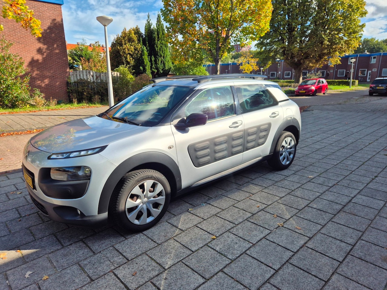 Citroën C4 Cactus - 1.2 PureTech Feel Automaat NAP Cruise - AutoWereld.nl