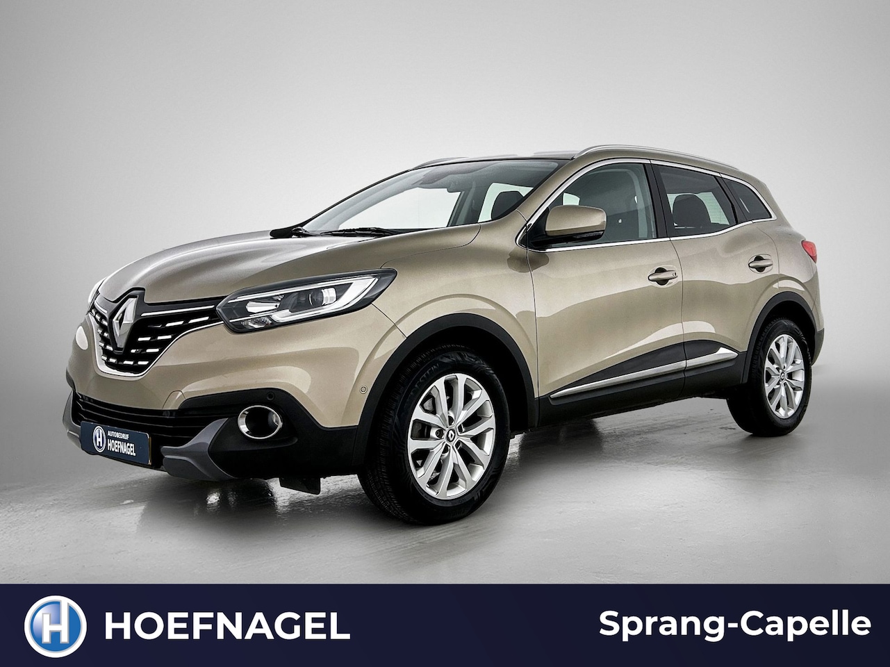 Renault Kadjar - 1.2 TCe Intens | Navi | Camera | Cruise Control | - AutoWereld.nl