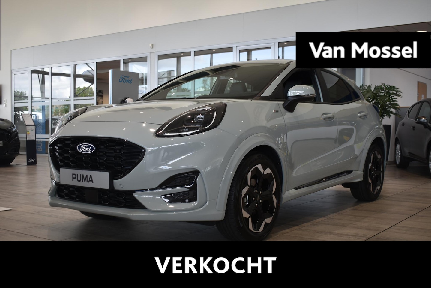 Ford Puma - 1.0 EcoBoost Hybrid ST-Line X | Showroom Voorraad | 5000.- Korting | Cactus Grey | Winterp - AutoWereld.nl