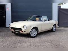 Fiat Spider - 2000 H5 124 Spider 2.0 - Nette staat - Historie!