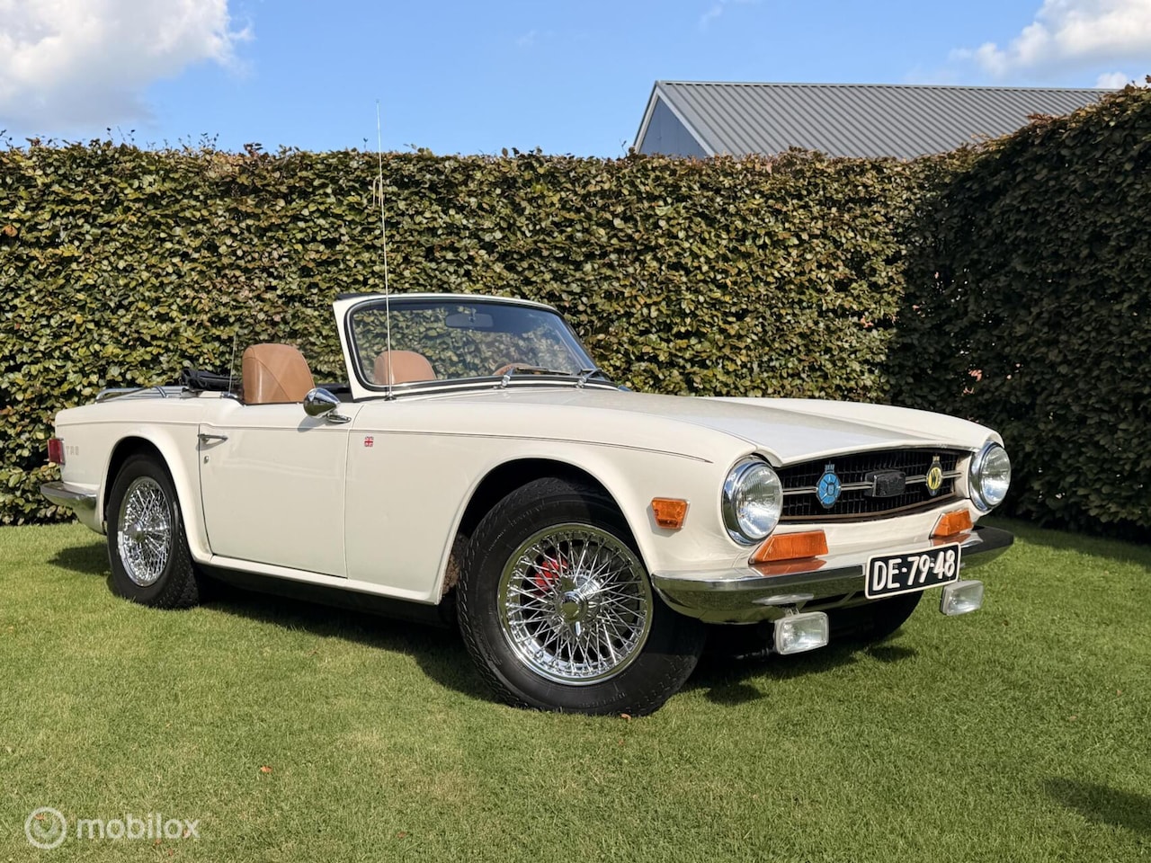 Triumph TR6 - Soft Top 1969 - AutoWereld.nl