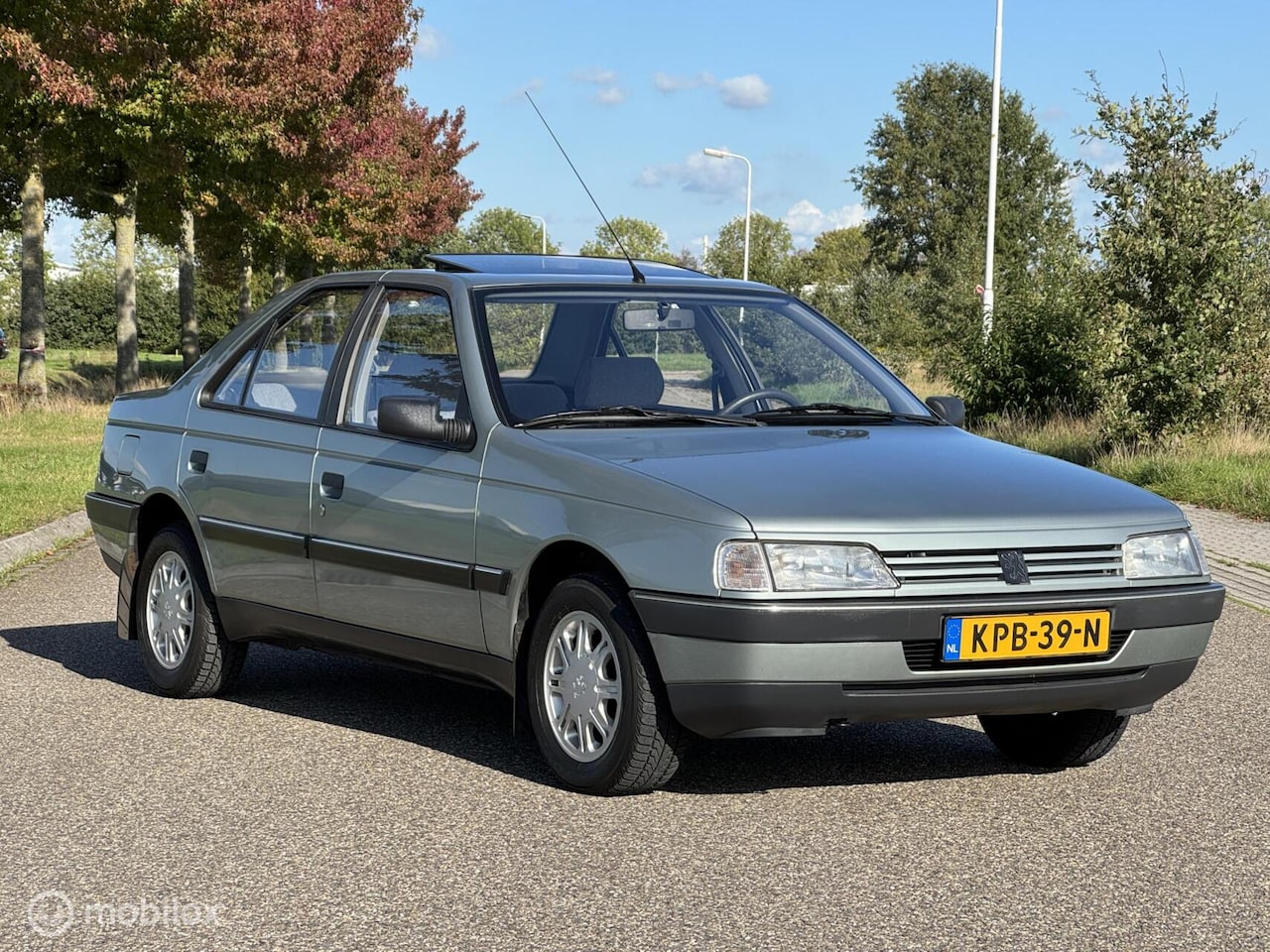 peugeot-405-1-6-gr-1989-29-000-km.jpg
