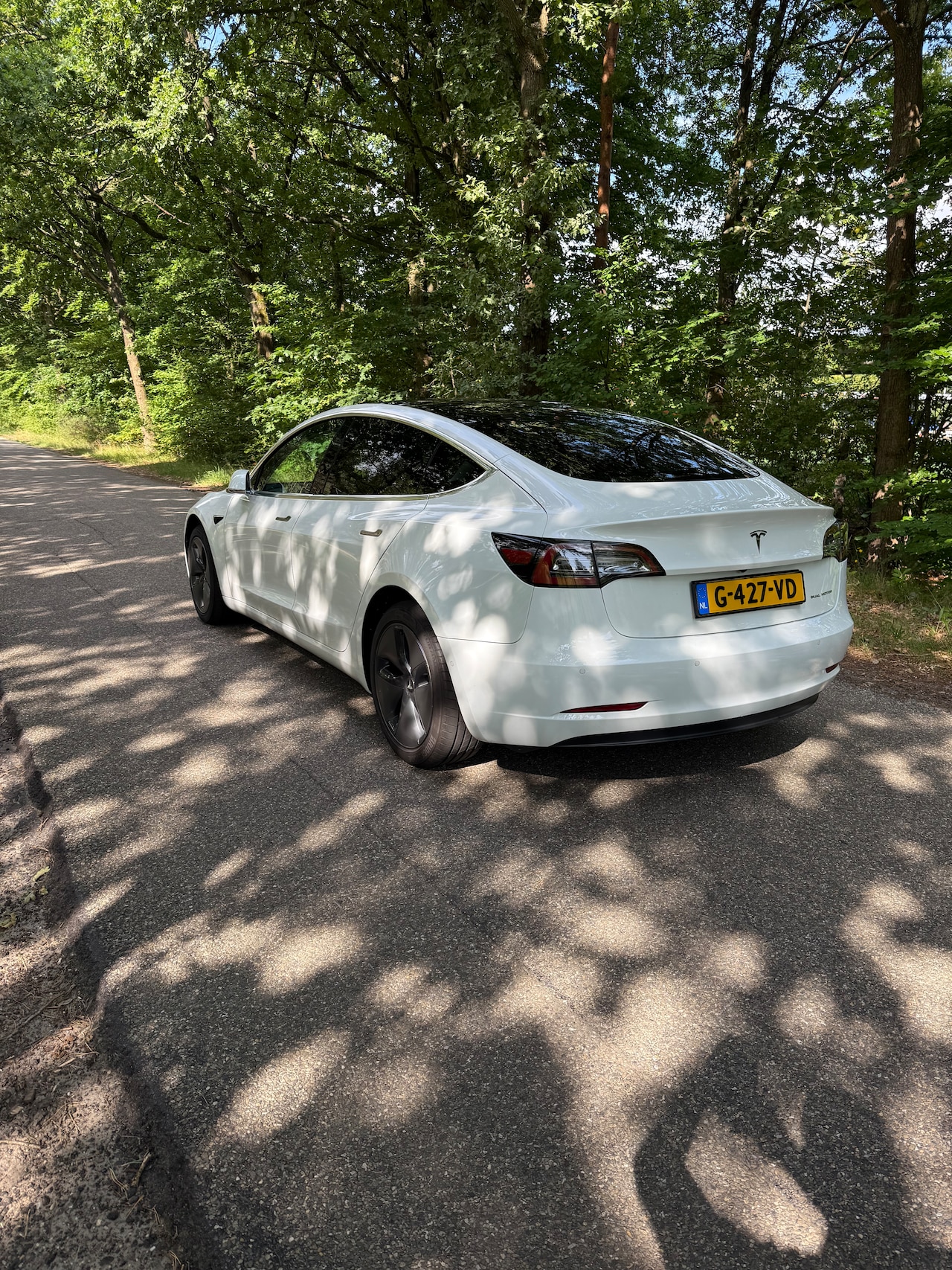 Tesla Model 3 - Long Range Trekhaak, donker getint glas achter - AutoWereld.nl