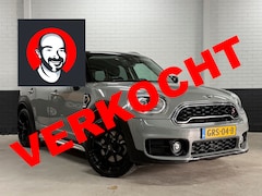 MINI Countryman - 2.0 Cooper S Pepper / Navi/PDC/Clima
