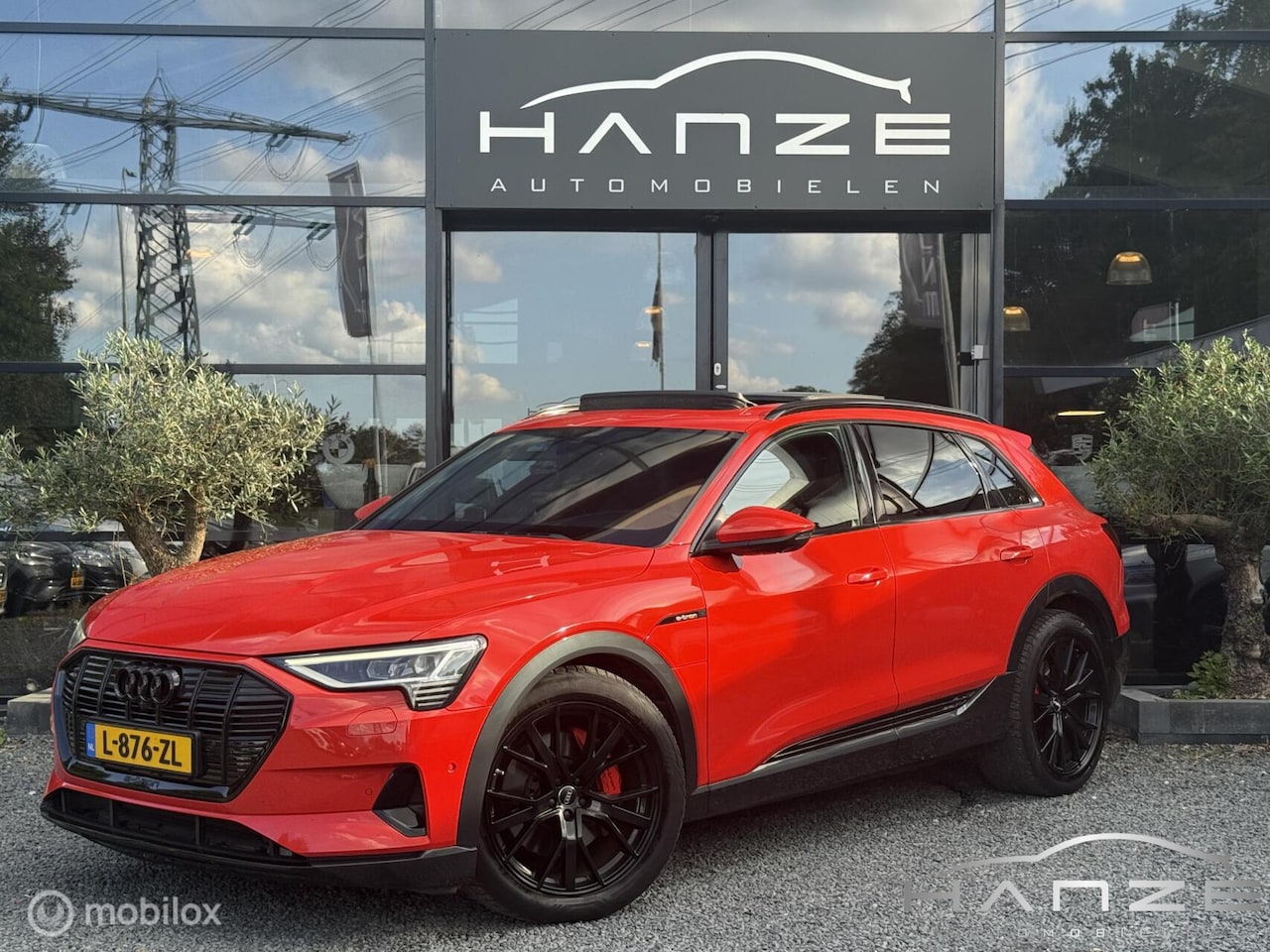 Audi e-tron - 55 quattro Business edition Plus 95 kWh SoH 90% - AutoWereld.nl