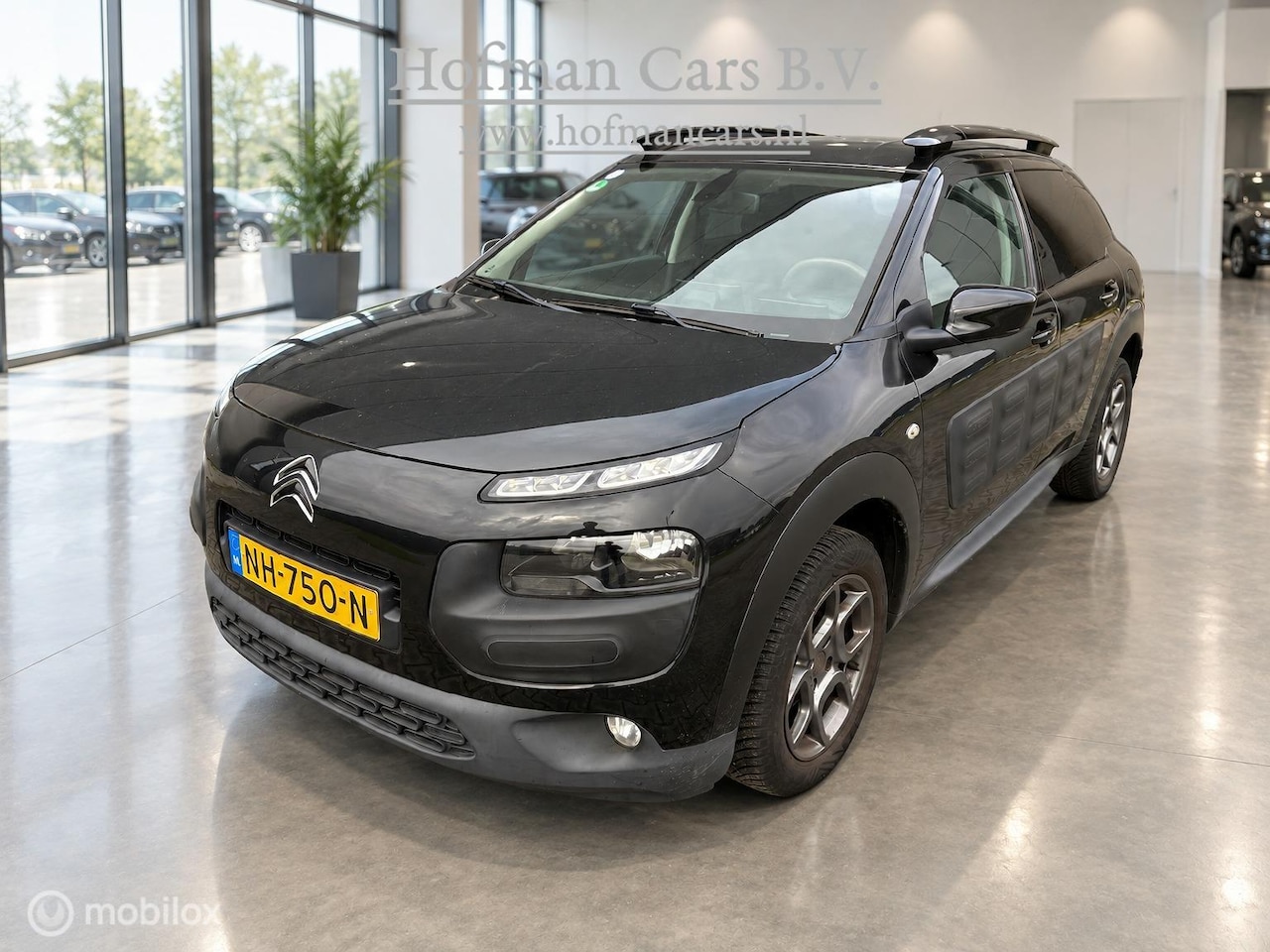 Citroën C4 Cactus - 1.2 PureTech Shine 1.2 PureTech Shine - AutoWereld.nl