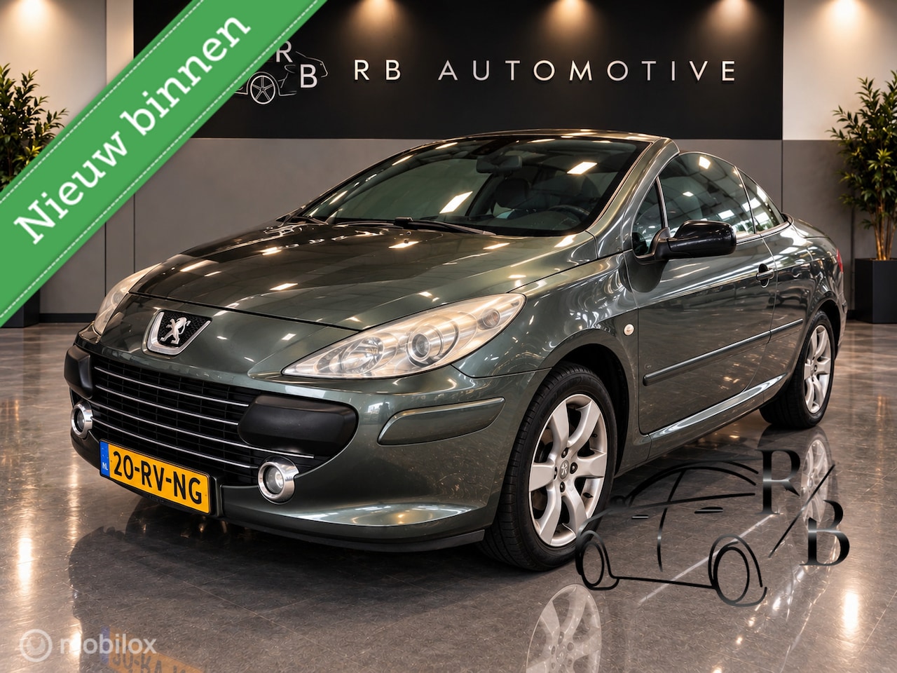 Peugeot 307 CC - 2.0-16V AUTOMAAT LEER AC PARK. SENSOREN - AutoWereld.nl