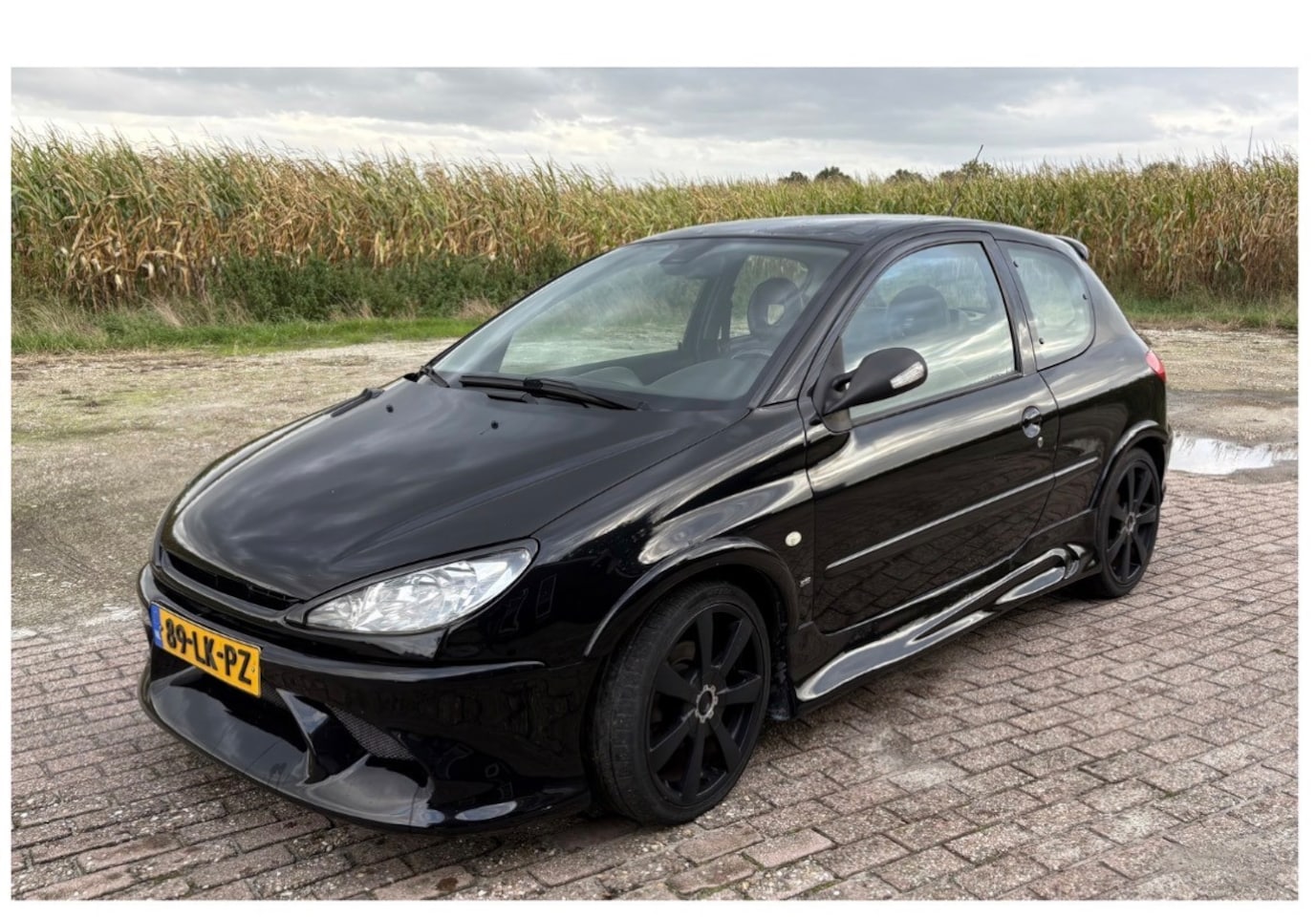 Peugeot 206 - 2.0-16V GTI unieke uitvoering van 1e eigenaar - AutoWereld.nl