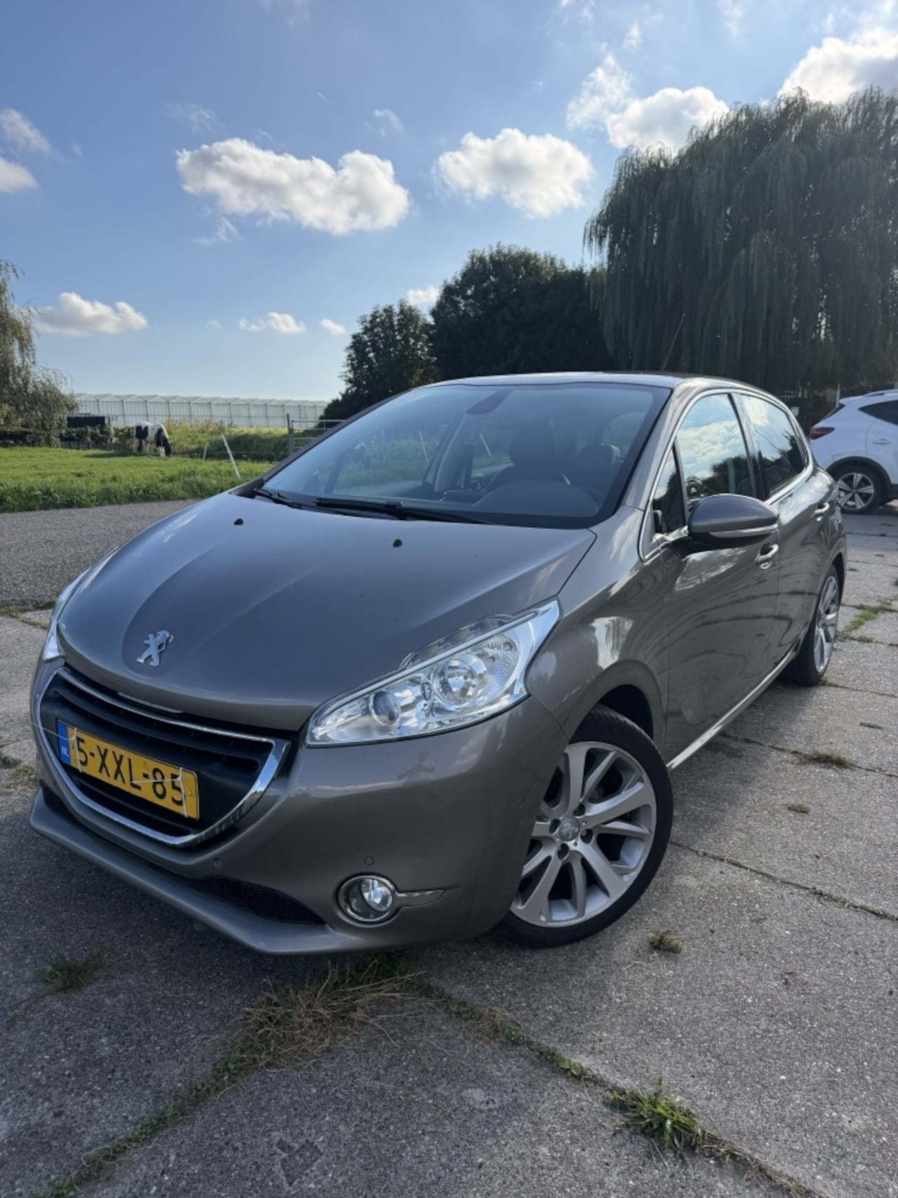 Peugeot 208 - 1.6 e-HDi Blue Lease 1.6 e-HDi Blue Lease - AutoWereld.nl