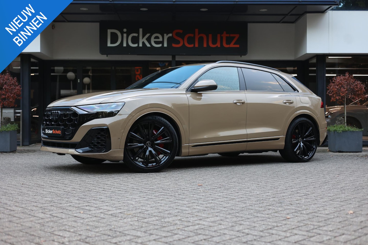 Audi Q8 - 55 TFSI e quattro Pro Line S Pano | Trekhaak | 360 | 23 inch | speciale kleur - AutoWereld.nl