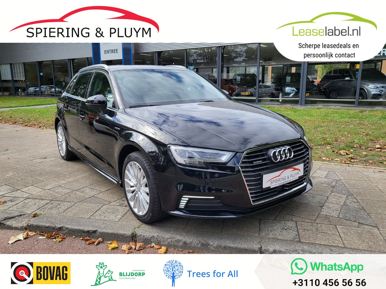 Audi A3 Sportback - 1.4 e-tron Sport PL+ | Adaptive Cruise | Leder - AutoWereld.nl