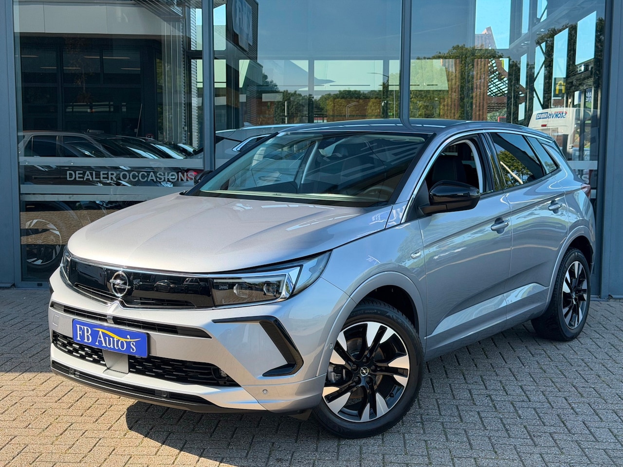 Opel Grandland - 1.2 Turbo Business Elegance Airco Lmv Cruise Camera Navi - AutoWereld.nl