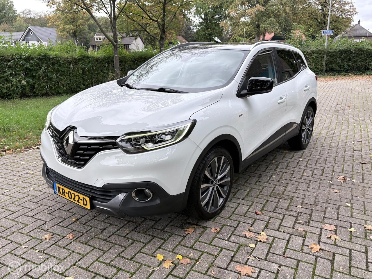 Renault Kadjar - 1.2 TCe Bose | TERKHAAK | PANODAK | CRUISE | - AutoWereld.nl
