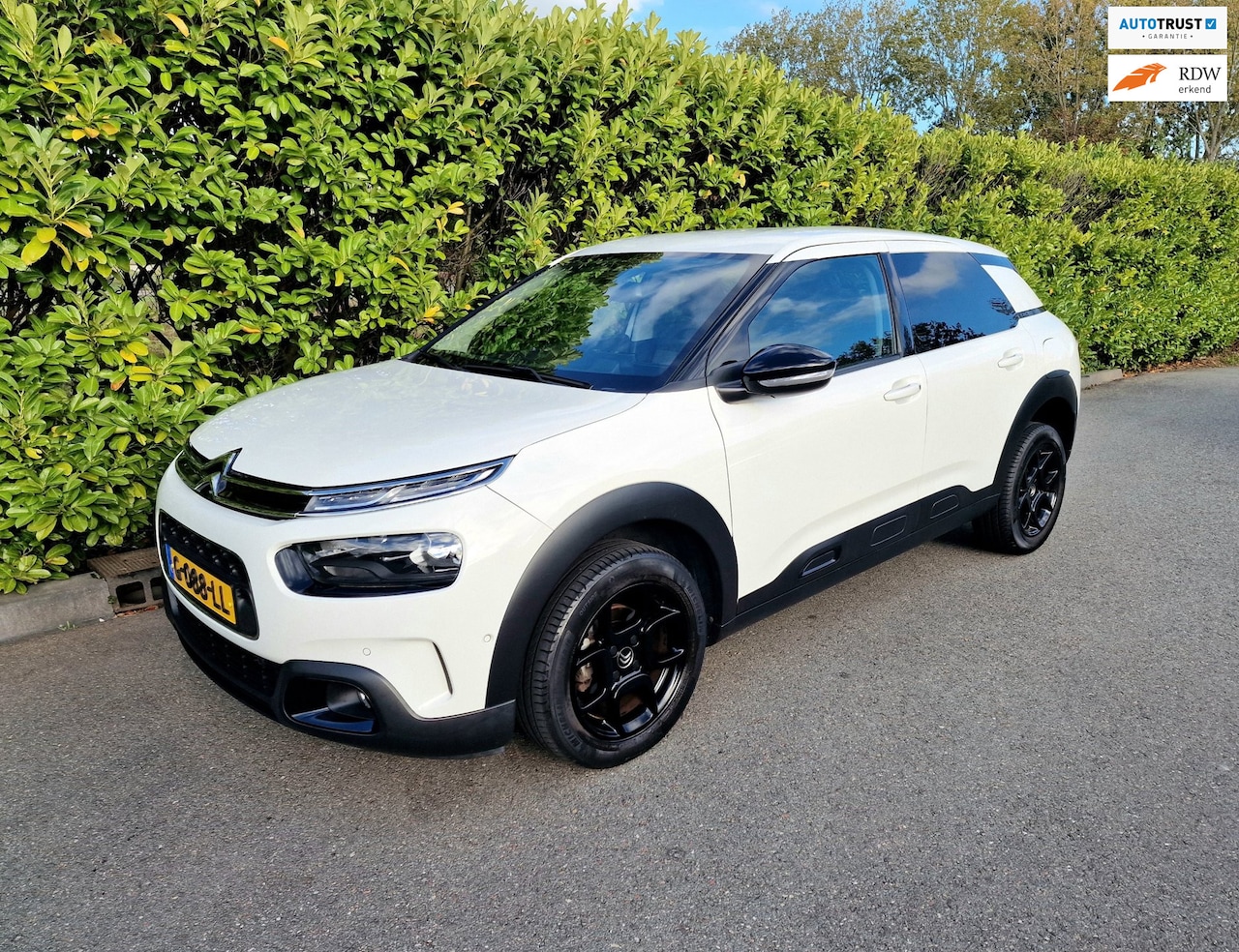 Citroën C4 Cactus - 1.2 Business Plus Automaat Airco - AutoWereld.nl