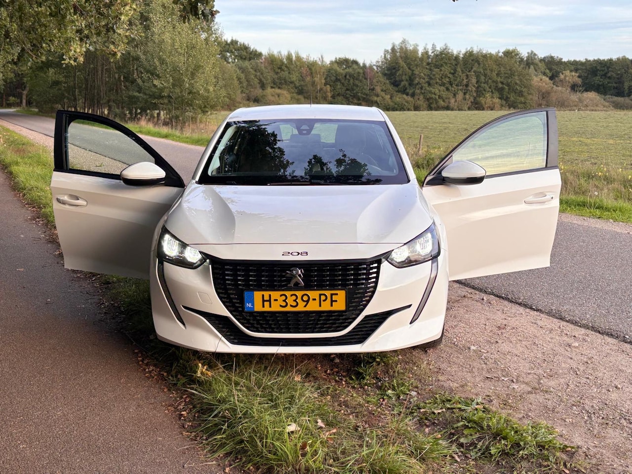 Peugeot 208 - 1.2 PureTech Blue Lease Active carplay - AutoWereld.nl