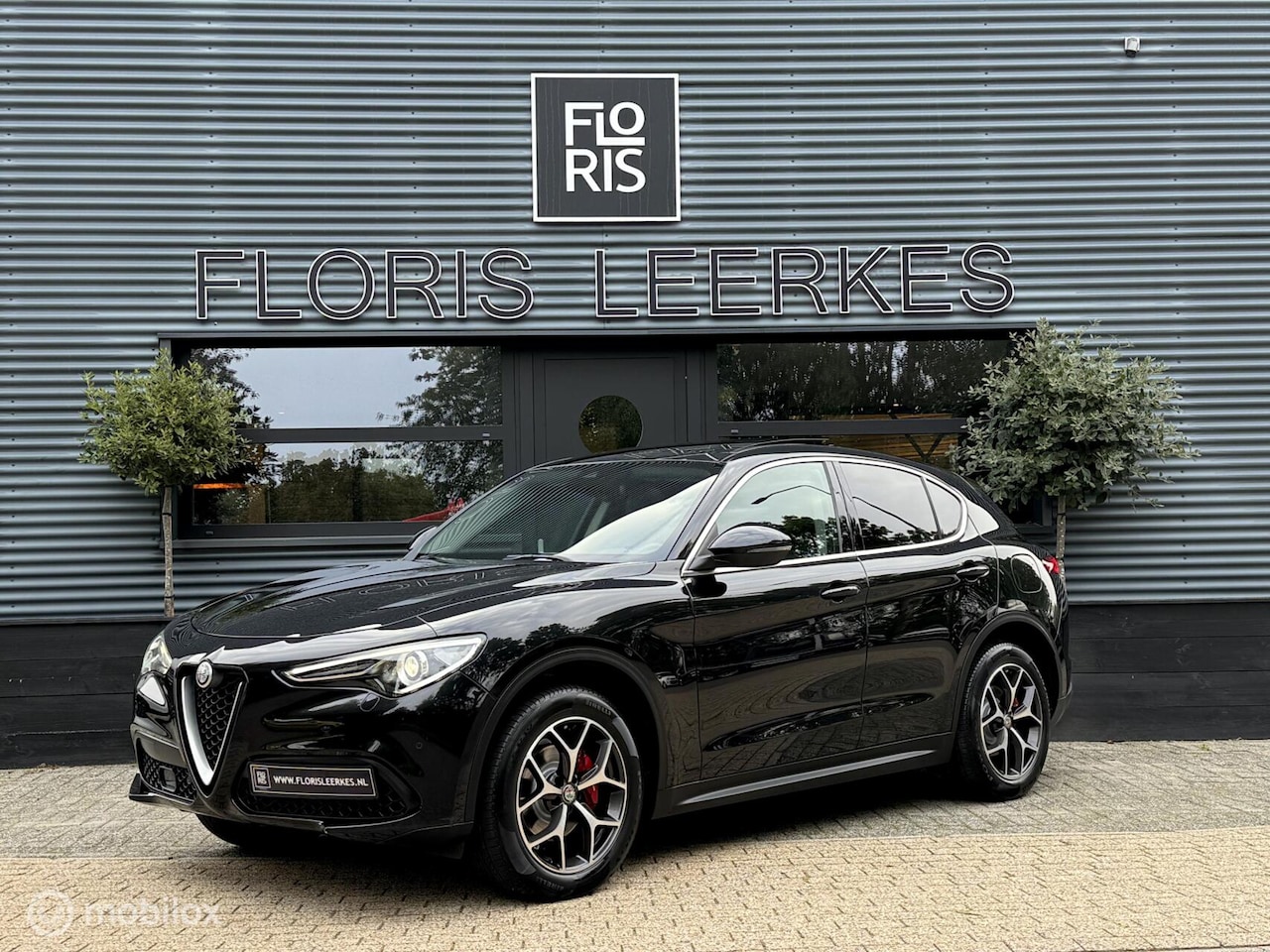 Alfa Romeo Stelvio - | 2.0 T AWD | PANO | 280 PK | Zwart Leer | - AutoWereld.nl