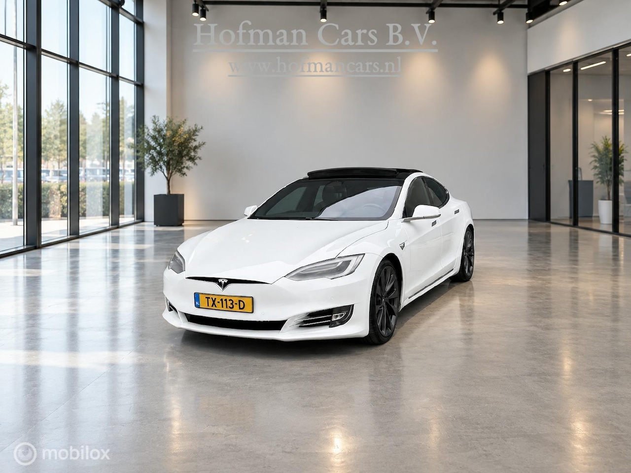 Tesla Model S - 100D | 100 kWh | 418 PK | SOH 88% | MCU2 | CCS | ENHANCED AUTOPILOT | LUCHTVERING | PANORA - AutoWereld.nl