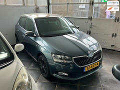 Skoda Fabia - 1.0 TSI Clever | Foto's volgen | NL Auto