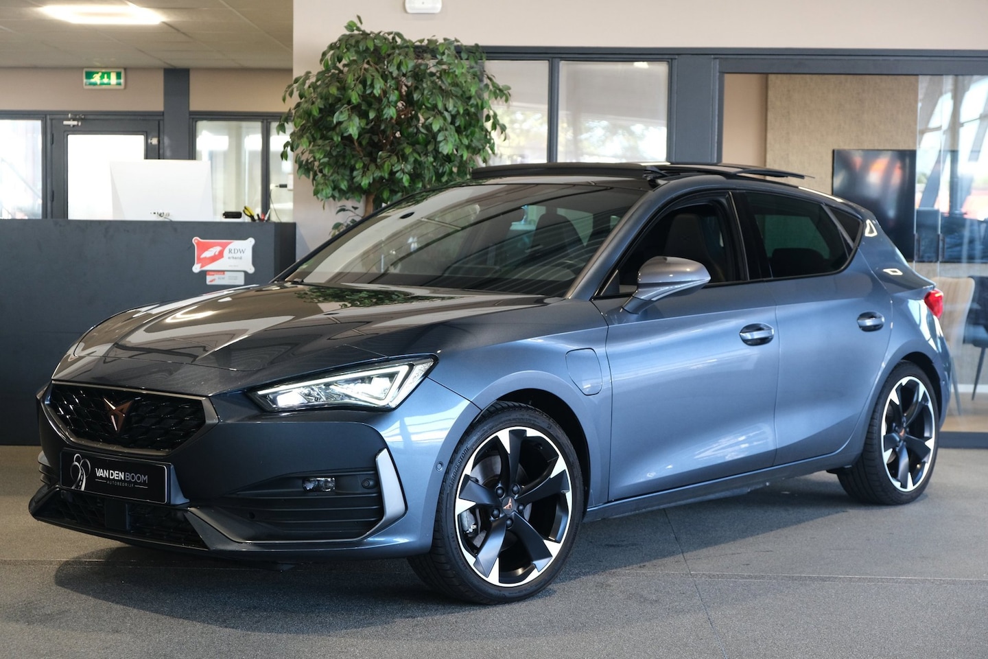 CUPRA Leon - 1.4 e-Hybrid 204PK Pano Volleder Cam Led Navi ACC Memory Kessy - AutoWereld.nl