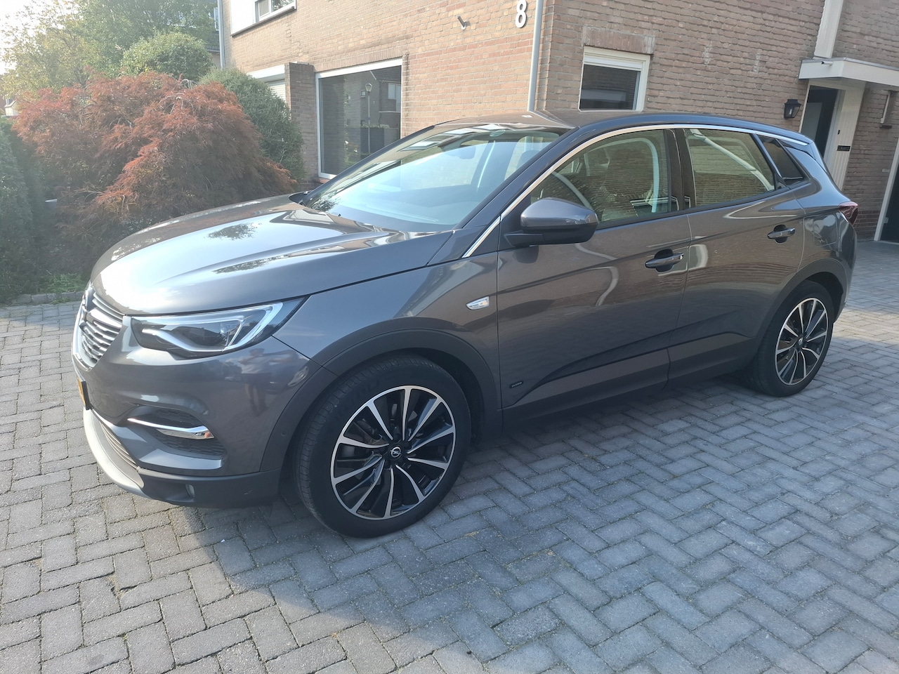 Opel Grandland X - 1.6 Turbo Hybrid Business Elegance Plug-in Hybrid 225pk 8-trap automaat - AutoWereld.nl