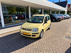 Fiat Panda - 1.2 Ed-Cool//Nieuwe Distributie + 4 banden