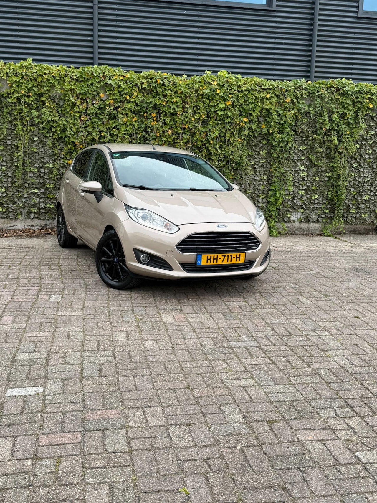 Ford Fiesta - 1.0 EcoBoost Titanium 1.0 EcoBoost Titanium - AutoWereld.nl